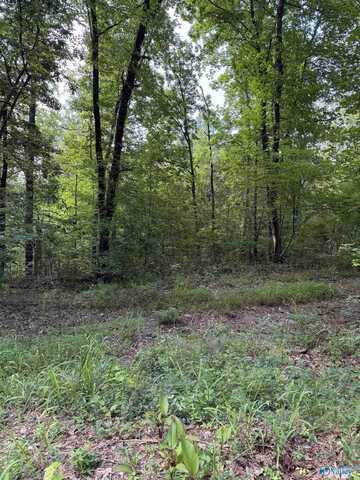 3 Parkwood Lane, Glencoe, AL 35905