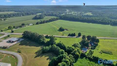 26208 Hwy 127, Elkmont, AL 35620