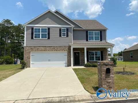 2425 Bluff Haven Lane, Hokes Bluff, AL 35903