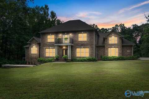 5007 SE Sunset Bluff, Huntsville, AL 35803