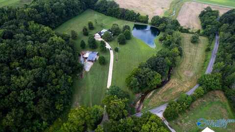 414 Davis Hill Road, Minor Hill, TN 38473