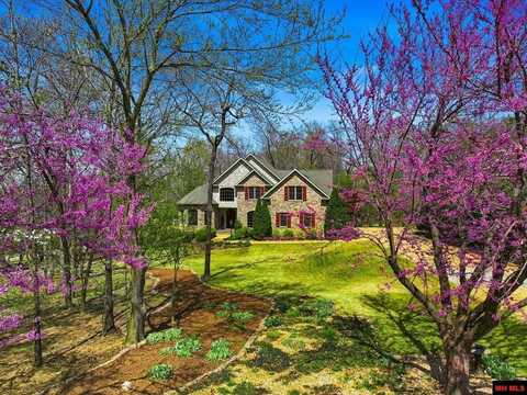 1211 CHESTNUT HILLS DRIVE, Mountain Home, AR 72653