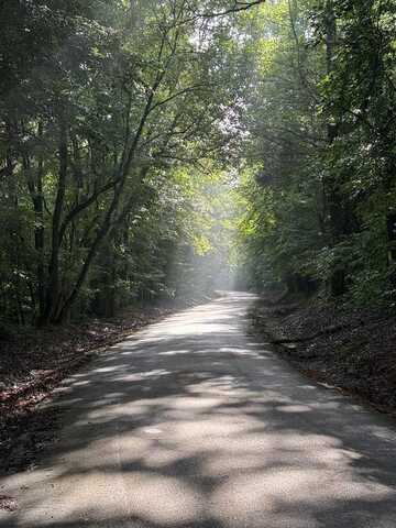 CR 489, Oxford, MS 38655