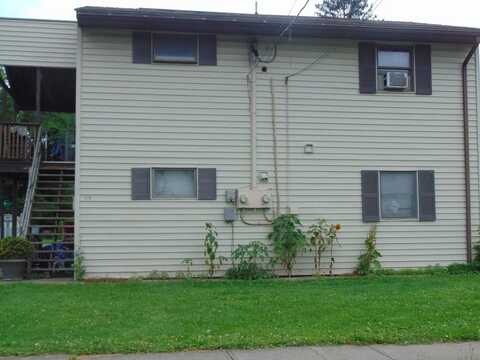 113 Maple St, Athens, PA 18810