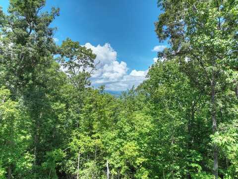 1170 Winchester Creek, Young Harris, GA 30582
