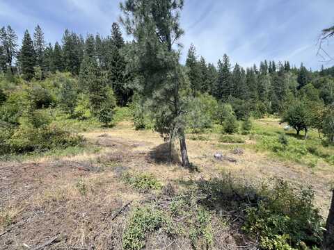 1 TBD MITCHELL RD, NORTHPORT, WA 99157