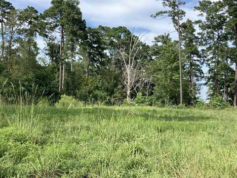 956 Nine Mile Road, Milam, TX 75975
