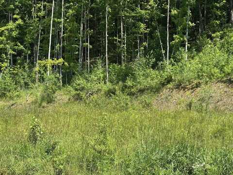 0 Maplewood Avenue, Barre, VT 05641