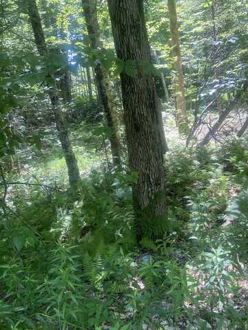 188 Cedar Lane, Peru, VT 05152