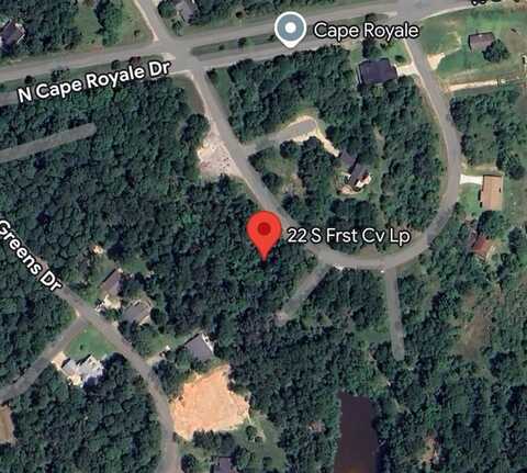 22 S Forest Cove Loop, Coldspring, TX 77331