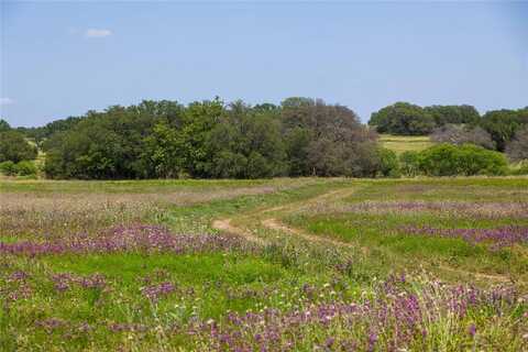 Tbd Hwy 84, Mullin, TX 76864
