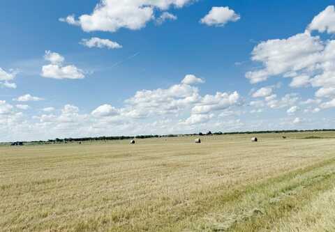 Tbd 201acres County Road 419, Rochelle, TX 76872