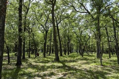 Lot 71 Anchor Point, Quinlan, TX 75474
