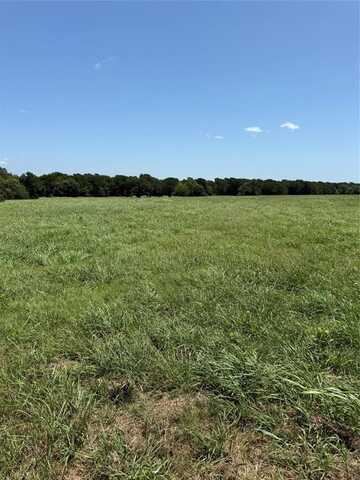19774 FM 47, Wills Point, TX 75169
