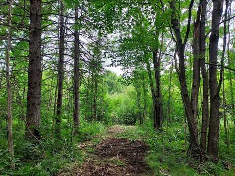 Lot 4 Liberty Lane, Catawba, WI 54515