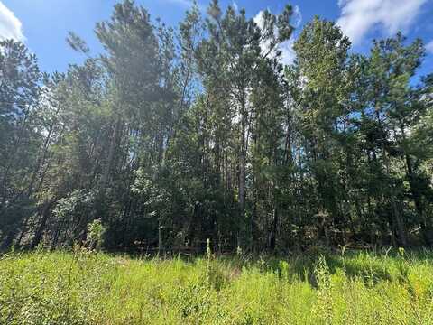 0 Dubberly Rd, Baxley, GA 31513