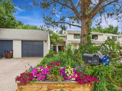 1609 Defiance Drive, Carbondale, CO 81623