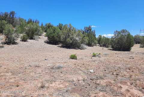 51943 N Agua Fria Road, Seligman, AZ 86337