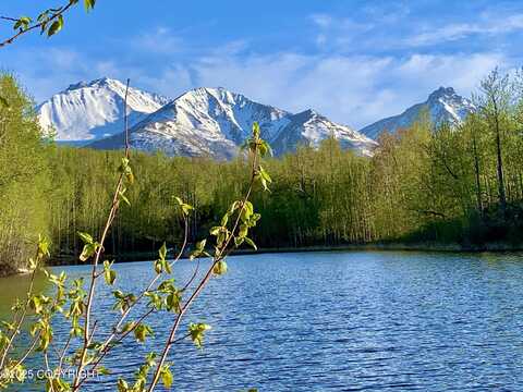 31561 E Oline Circle, Chickaloon, AK 99674