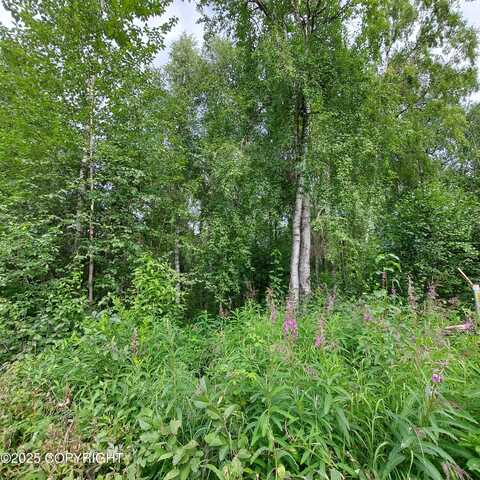 B3 L1 S Jefferson Street, Talkeetna, AK 99676