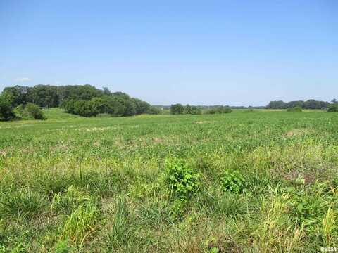 0000 Bean Road, Whittington, IL 62897