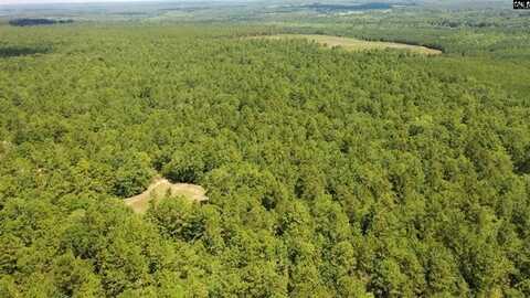 0 Huckleberry Finn Road, Batesburg Leesville, SC 29006