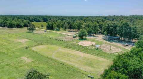 301 Ernest Johnson Road, Wagener, SC 29164