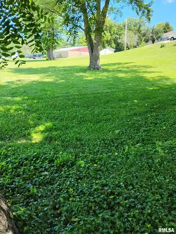 351 S AVENUE D Avenue D, Canton, IL 61520