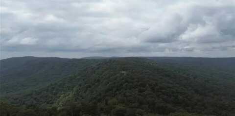 2325 W FLY GAP RD, Combs, AR 72721