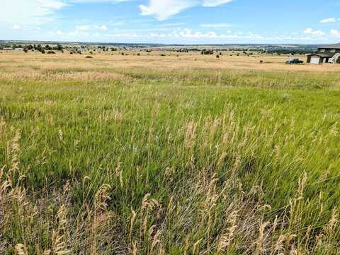 Lake Beckwith Dr. lot: 468, Colorado City, CO 81019
