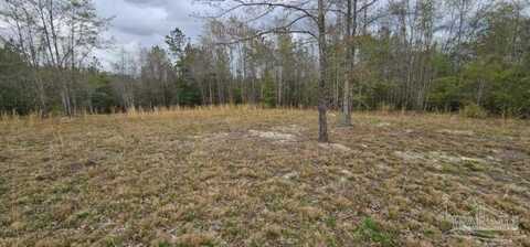 0 Butler St, Goodway, AL 36445