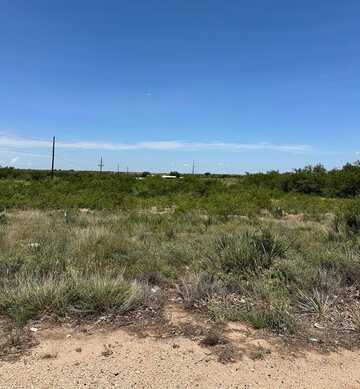 32nd St, Snyder, TX 79549