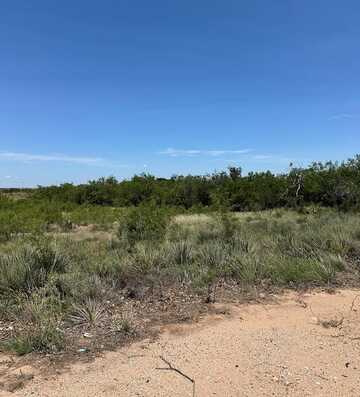001 32nd St, Snyder, TX 79549
