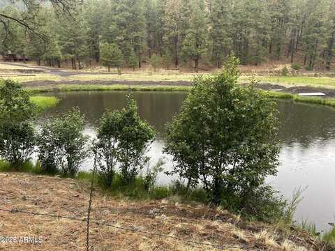 3 COUNTY ROAD N1029 --, Greer, AZ 85927