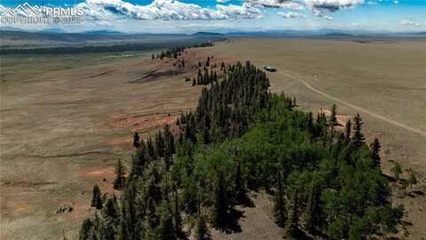 4319 Meier Ridge Trail, Fairplay, CO 80440