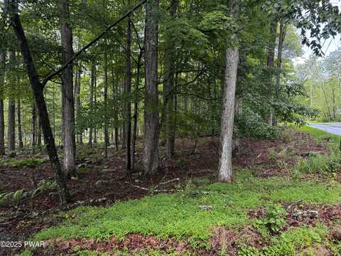 101 Elm Lane, Greentown, PA 18426