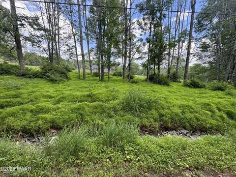 Lot #722 Bear Tree Road, Lake Ariel, PA 18436