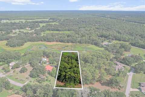 9392 W Emerald Oaks Drive, Crystal River, FL 34428