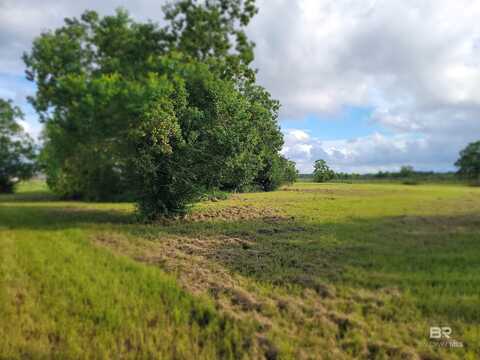 Lot 6 Horses-n-Hounds, Foley, AL 36535