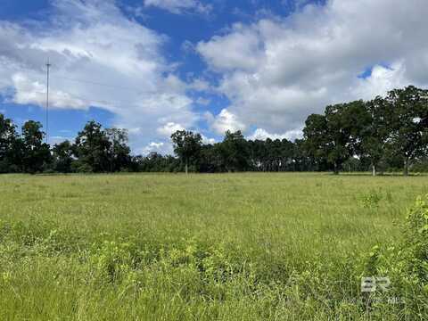 Lot 2 County Road 62, Robertsdale, AL 36567