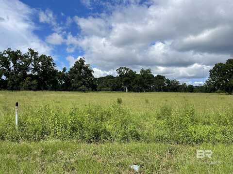 Lot 1 County Road 62, Robertsdale, AL 36567