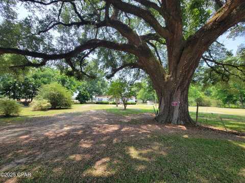 4443 Kins Road, Malone, FL 32445
