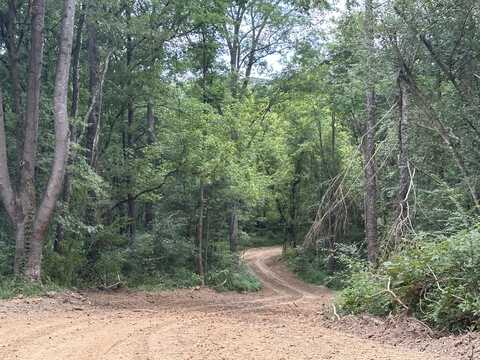 Tract 5 County Road 897, Etowah, TN 37331