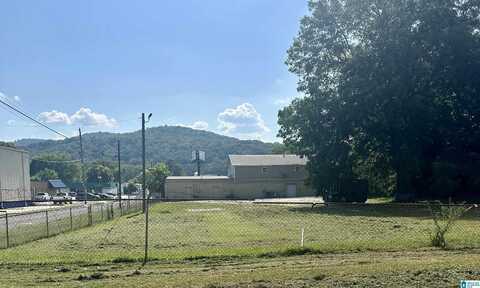 224 S LEIGHTON AVENUE, ANNISTON, AL 36207