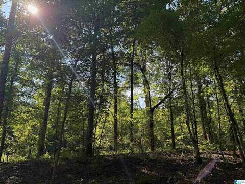 00 CAHABA HILL ROAD, BRIERFIELD, AL 35035