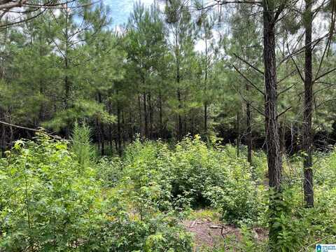 00 CAHABA HILL ROAD, BRIERFIELD, AL 35035