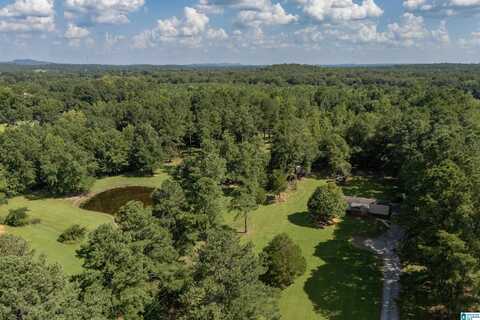 2010 HIGHWAY 56, WILSONVILLE, AL 35186