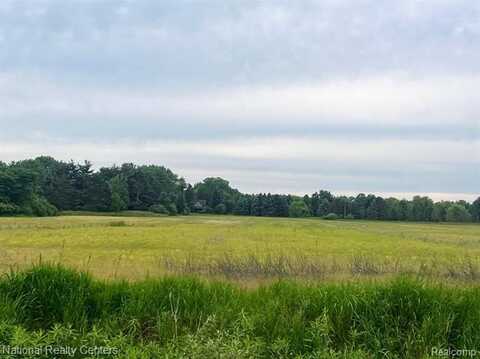 PARCEL G BURT Road, Allenton, MI 48002