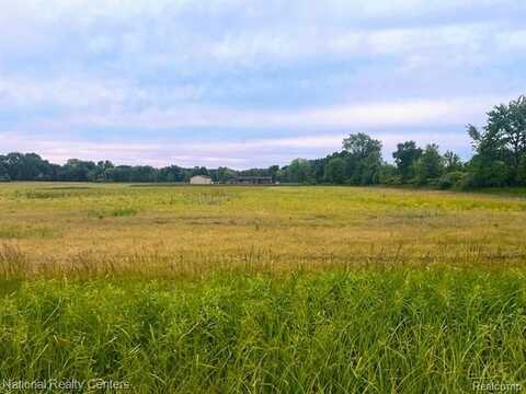 PARCEL C BURT Road, Allenton, MI 48002