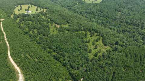 TBD West Tract Weaver Lane, Grannis, AR 71944